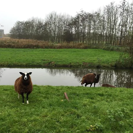 Velserhoeve Velserbroek